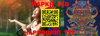 стафф Новокубанск
