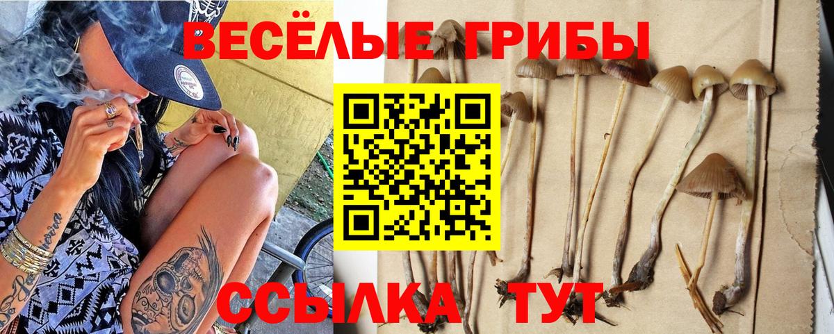Канабис  Вход с VPN  Гашиш  Экстази  Ржев  Alpha-PVP СОЛЬ   Вейп ТГК  Cocaine  Меф МЯУ МЯУ  ГАШ  МЕФ  