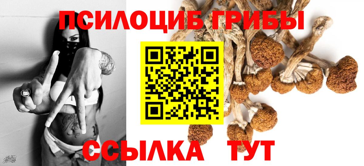 Псилоцибиновые грибы Cubensis  Галлюциногенные грибы Psilocybe  Ржев  Вход с VPN 